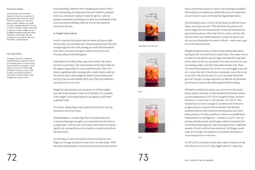 Image of The Noma Guide to Fermentation (Foundations of Flavor)