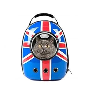 Emily Pets Cat Carrier Bubble Transparent Puppy Carry Bag Space Capsule Pet Travel Carrier Bag for Dog Cat(Pink)