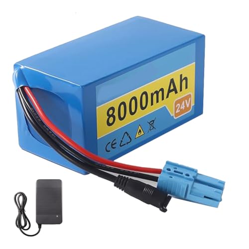 Batería 24V 8000mAh de litio con BMS inteligente y cargador 2A de alta eficiencia