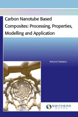 Carbon Nanotube Based Composites: Processing, Properties, Modelling and Application view 2