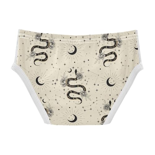 Boys' Exclusive Briefs Toddler Underwear 95% Combed Cotton Boxerbriefs 2T Celestial Snake and Star 402