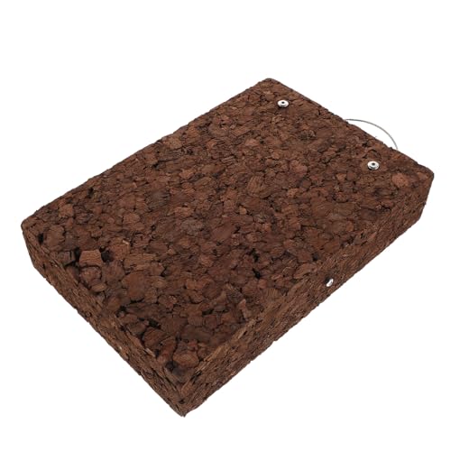 DRESSOOS Thickened Solid Wood Fern Mounting Board for Wall Hanging Planter Cork Mat Compatible with Orchids Succulents Climbing Plants Space-Saving Greenery Display Panel for Indoor and