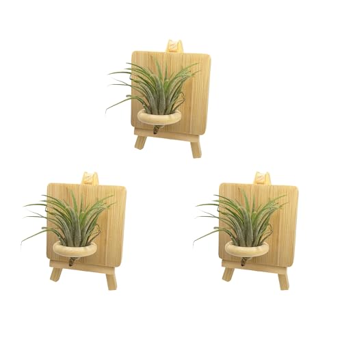 Lucciuky 3 Pack Air Plant Holders Mini Wood Display Easel - Small Airplants Stand Tillandsia Display Holder Cute Home Decor for Desk Table Shelf Window
