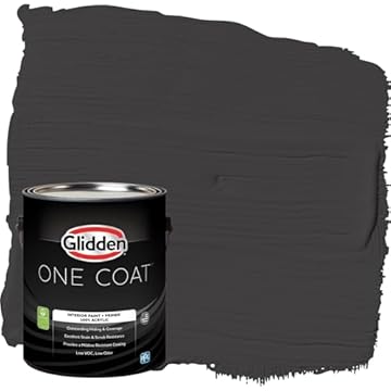 best one coat paint and primer interior