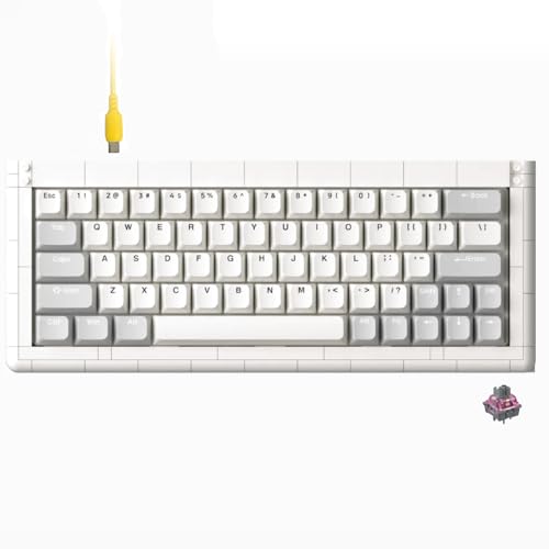 KBDcraft 01Adam 60% JjJL[{[h 64L[ ANSI SΉP[X KXPbg}Eg zbgXbv\ L jAXCb` RGB QMK Win/MacpoCA tLbg (zCg)