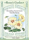 Nasturtium - Vanilla Berry Seeds