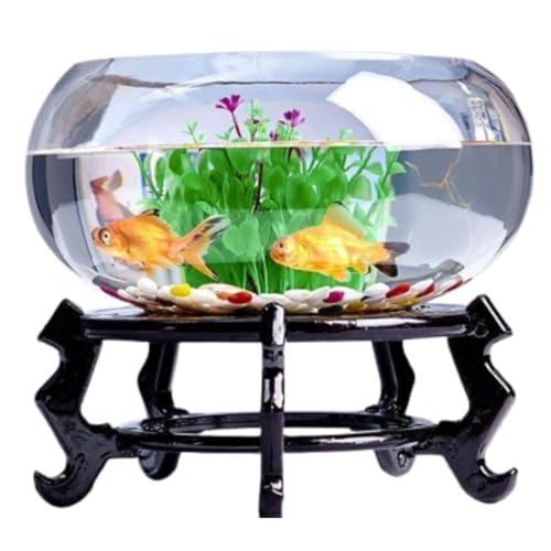 Unlnsiy  ANAE ^~j^N ԕr Ϗ܋ A͔| ȋ CeA ی^i{́F++Z_Zbgj (20cm)