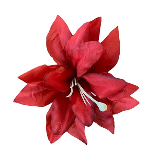 lHXC[gt[wANbv ̎qp qp ob^ t[ nhCh wAs u[wAs