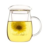 iRSE Glass Tea Infuser Cup with Glass tea strainer and glass lid, Borosilicate Glass, durable heat resistant hot drink for loose leaf tea herbs herbal detox Dishwasher safe 17 oz, 500 ml