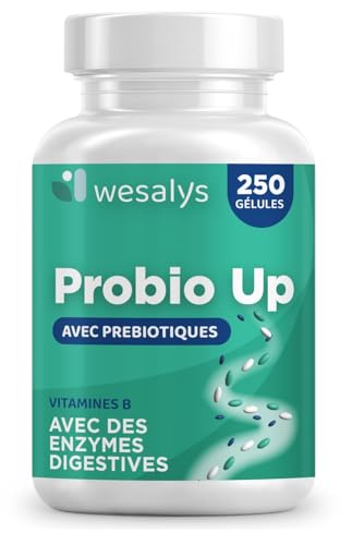 Probiotique flore intestinale - 250 gélules - 20 souches bactériennes, Probiotiques et prebiotique, lactobacillus gasseri, Bifidobactéries, Enzymes digestives, Inuline, FOS, 20 milliards UFC