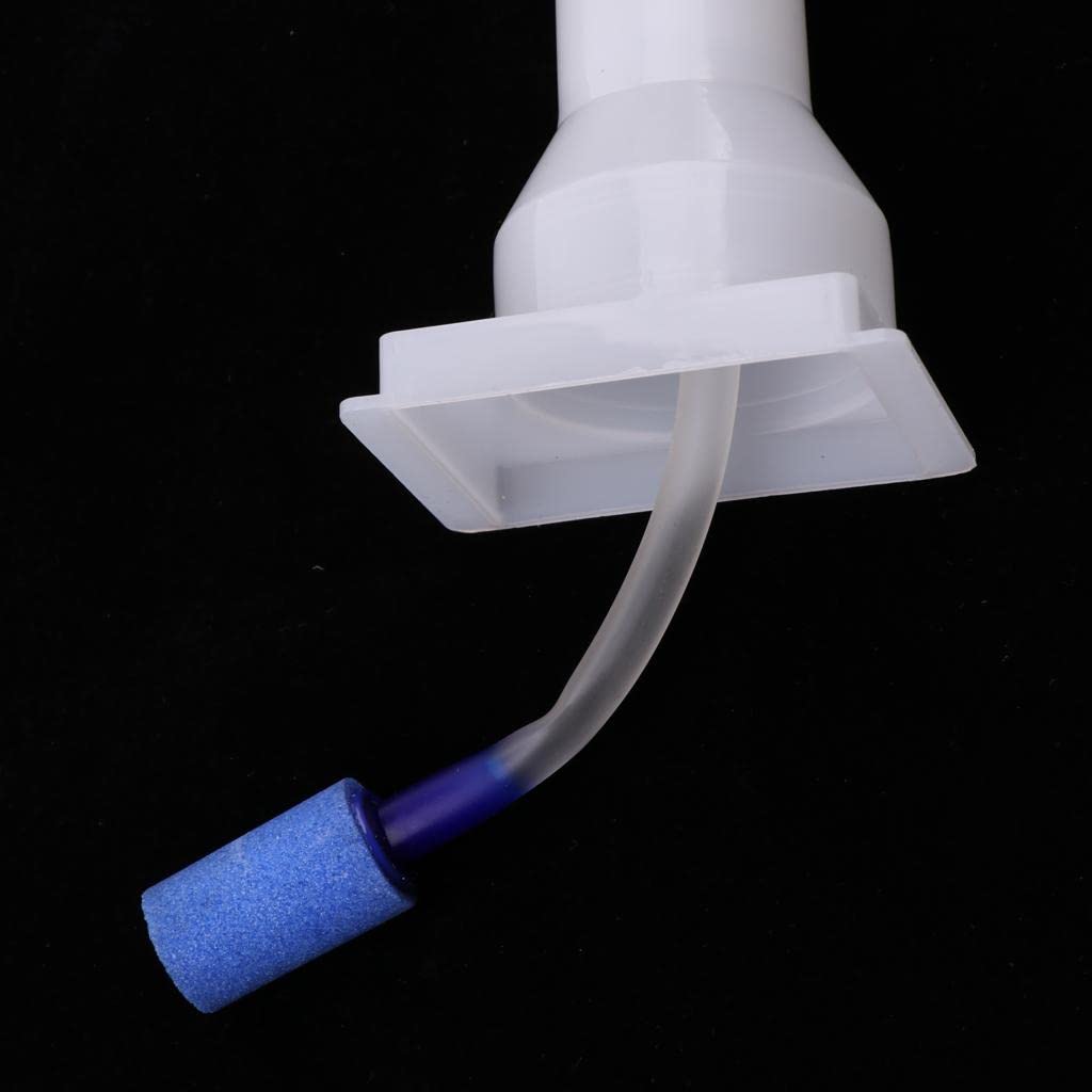 predolo 9 Stück Aquarium Unterbodenfilter Filterplatte Bodenfilterplatte Kunststoffplatte Luftleitungsschlauch Luftschlauch Fischbeckenfilter Isolierplatte, Typ 2