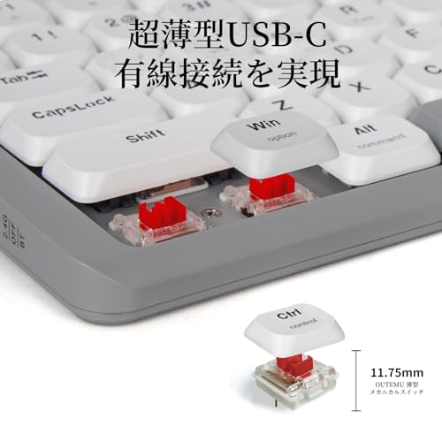 e元素 Z-84 赤軸メカニカルキーボード の商品画像 2