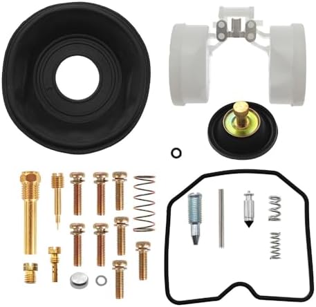 Carburetor Rebuild Kit Replacement for Kawasaki KL650 A6F KLR650 2006-2018 KLX650R 1993 1994 1995 1996 Carb Repair Set with Float