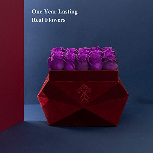 Premium Roses| Real Roses That Last 365 Days | Real Flowers| Roses in a Box (Burgundy Box, Large)