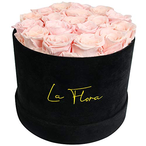 La Flora Preserved Roses Large Box 14-16 That Last a Year | Forever Rose Fresh Cut Flowers Mothers Day Valentines Day Birthday & Anniversary just Because Gifts for Her | Round Black Box (Light Pink)