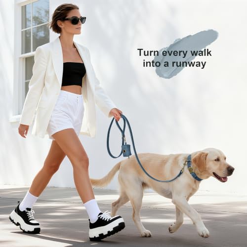 Image of Didog Dog Poop Bag Holder for Leash, Stylish PU Leather, Blue