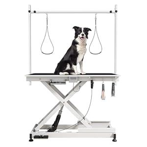 Heavy Duty Electric Lifting Pet Dog Grooming Table for Large Dogs with Overhead Arm, Anti-Skid Rubber Desktop and Powerful Motor, 50” / White
