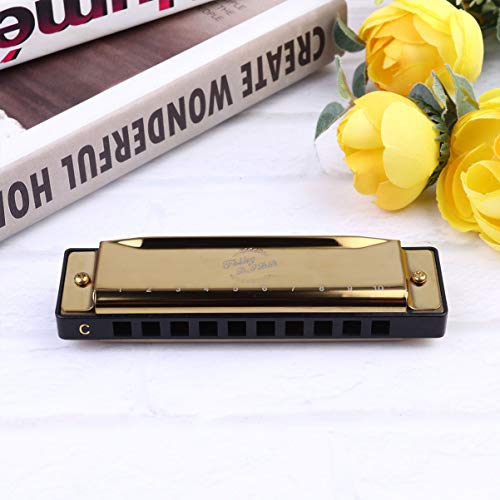 FARUTA Harmonica professionnel 10 trous Blues Harmonica bouche Orgue pour débutants adultes enfants Cadeau noir (couleur… - Les Beatles, Paul McCartney, John Lennon, RIngo Starr, George Harrison FARUTA Harmonica professionnel 10 trous Blues Harmonica bouche Orgue pour débutants adultes enfants Cadeau noir (couleur… – Image 6