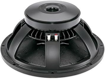 B & C Speakers 15PS100-8 15-Inch Mid Bass Woofer LF Drivers 700 Wrms 1400 Watts Pro Audio Component Speaker Driver for Motorcycle Car 8 Ohm