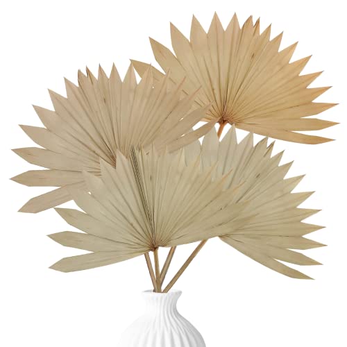 4 piezas de hojas de palma secas naturales grandes decoración abanicos de palma seca arreglos de flores de palma secas frondas de palma secas lanzas de palma decorativas para boda, hogar, ramo de