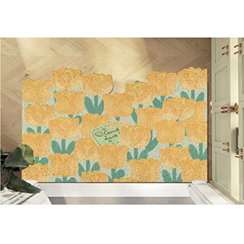 [ZLUKUO] փ}bg hA}bg DƂ}bg 80*120cm  O Ɩ ƒp Lb`}bg O  k }bg DƂ h X fUC  􂦂 L ʑ  z  ӂ}bg  O