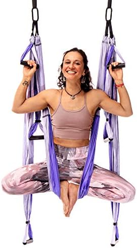 YOGABODY Yoga Trapeze Pro – Yoga Inversion Swing with Free Video Series and Pose Chart, Purple