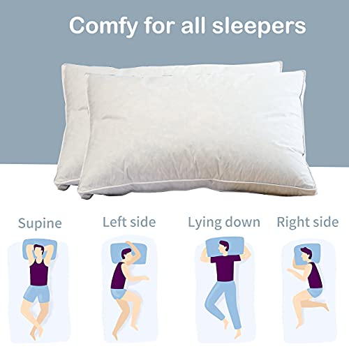 Wenersi Feather Down Pillow King Size Set Of 2, Bed Pillows For Sleeping, Hotel Collection Pillow Insert, Breathable 100% Cotton Cover, Supportive Gusseted King Pillows (20X36Inches, Soft) #TOP3