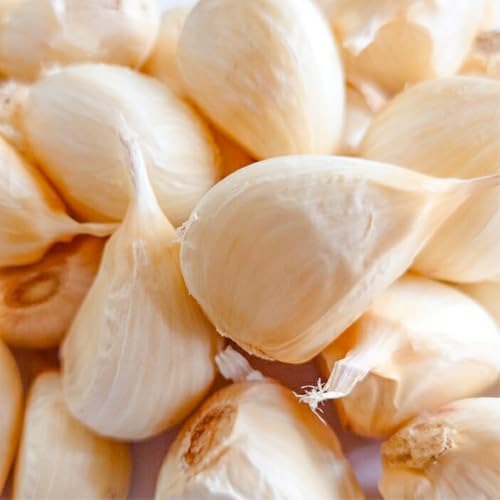 にんにく 青森 5kg」の人気商品一覧・価格比較 - 価格.com