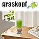 Graskopf Set, Mini Bonsai Gras Kopf Figure Puppen Schön Graskopf Stile Blumentopf Kopf Mit Einer Kleinen Sprühflasche für Desktop Zimmer Home Decorations (Grünes Gras)