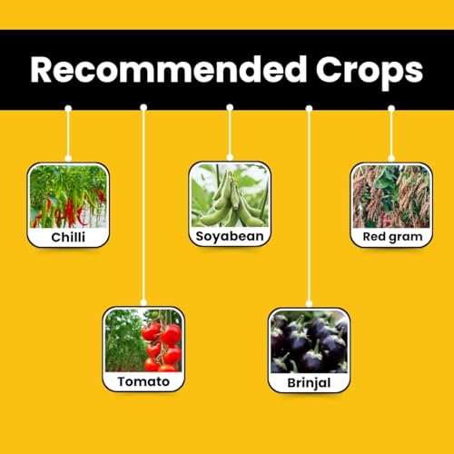 Image of Katyayani Outburst | Broflanilide 300 G /L SC | Suitable for Chilli, Brinjal, Tomato, Soybean & Red Gram | Long-Lasting Action & Better Results | Systemic Broad Spectrum Crop Care Solution 34ML x 1