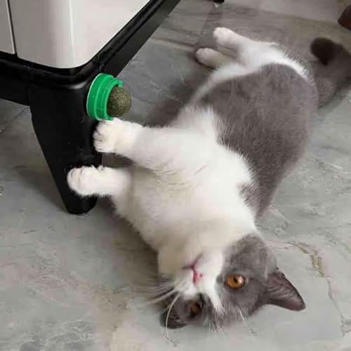 FOONEA 4PCS Catnip Balls for Cats Wall Catnip Toys for Cat Lick Kitten Chew Toys Teeth Cleaning Dental Edible Cat Toys - Thumbnail 3