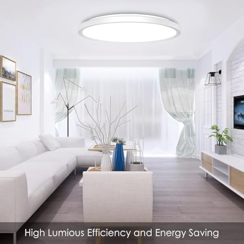 Image of ELEPHANTBOAT LED Ceiling Light with Remote Control, 12Inch 24W High Bright 3200lm, Backlight Round Close to Ceiling Lamp Modern Ultra-Thin 3000-6500K for Bedroom Living Room