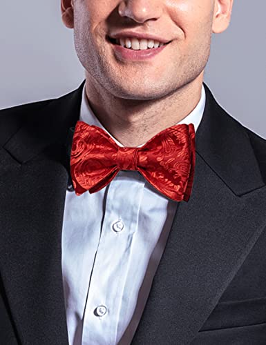 Image of DiBanGu Men Bow Tie Paisley Striped Self-Bow Tie for Men and Silk Woven Bowtie Pocket Square Cufflinks Wedding Party