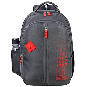 Swagger Casual/School/Office Laptop Backpack for Men and Women,SW05-GRY