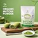 Soeos Organic Matcha Powder, Matcha Green Tea Powder, 2 oz (57g), Antioxidant-Rich Japanese Matcha for Lattes, Smoothies and Baking, Recyclable Bags