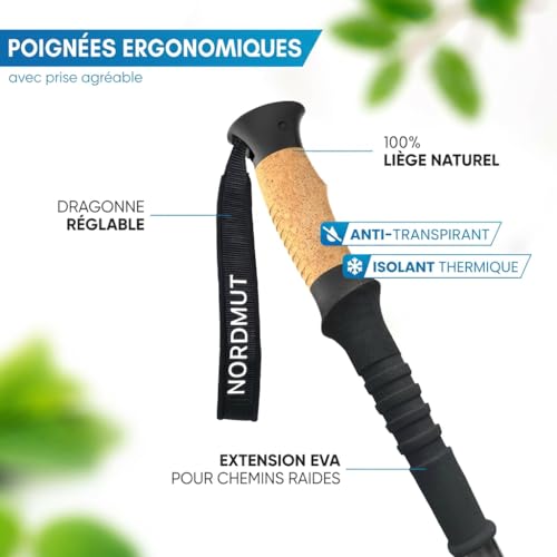 Bâton de marche