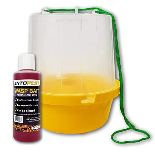 Entopest 1 x Wasp Nest Killer Trap and Bait Attractant Kit | Wasp Trap, Hornet Trap, Bee Catcher, Wasp Traps Outdoor/Indoor, Hornet Nest Killer, Wasp Catchers For The Garden