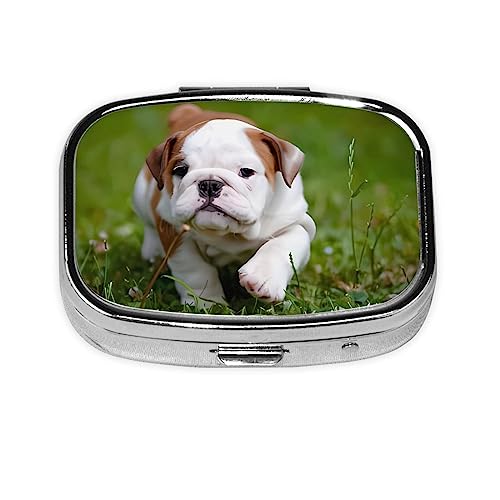 ̏̂킢q s{bNX `sP[X 2Rp[gg  sI[KiCU[ |[^u s s{bNX  r^~ ^ ̖ [{bNX 킢 j[N Mtg I[KiCU[