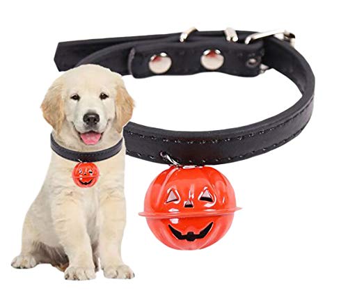 Maiitmor v ybg   [U[ x[VbN wbhJ[ lbNX ^ ^Lp nEBybg ybgpnEBJ{` h ߉\ (M(37cm x1.5cm))