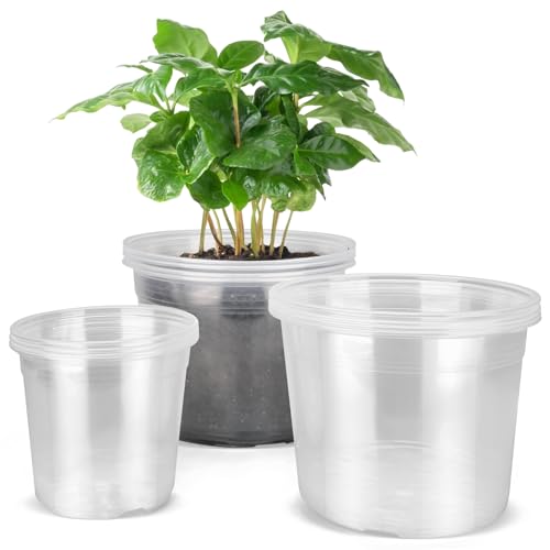 DUNPUTE 6/8/10 Inch Large Clear Nursery Pots with Drainage 12 Pack Plastic Pots for Plants Ideal Seedling Pots and Plant Pots for Vegetables Orchids Aloe Indoor Outdoor Use (6 8 10 inch)