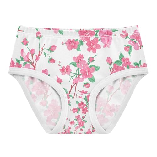 Floral Pink Blossoms Toddler Girls's Underwear 2T 202c1141