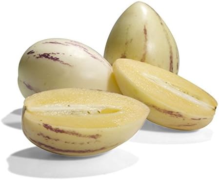 10pcs White Purple Pepino Dulce Melon Fruit Seeds Generic