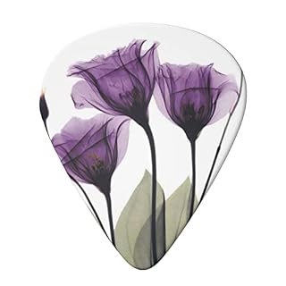 Purple Flowers Lot de 6 médiators pour guitare acoustique, guitare électrique, basse, ukulélé – fins, moyens et épais. - Les Beatles, Paul McCartney, John Lennon, RIngo Starr, George Harrison Purple Flowers Lot de 6 médiators pour guitare acoustique, guitare électrique, basse, ukulélé – fins, moyens et épais. – Image 3