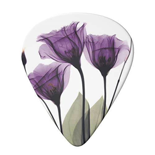 Purple Flowers Lot de 6 médiators pour guitare acoustique, guitare électrique, basse, ukulélé – fins, moyens et épais. - Les Beatles, Paul McCartney, John Lennon, RIngo Starr, George Harrison Purple Flowers Lot de 6 médiators pour guitare acoustique, guitare électrique, basse, ukulélé – fins, moyens et épais. – Image 4