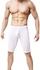 LinvMe Men's See Through Underwear Compression Slim Tights
