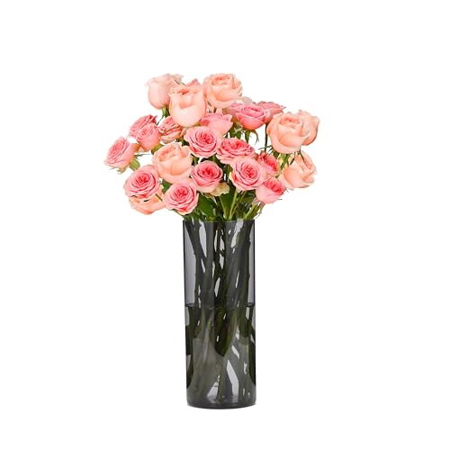 Koelaa Jarrón Acrílico Gris Translúcido para Flores, Jarrones Decorativos Modernos Irrompibles, Florero Minimalista Cilíndrico para Salón/Bodas, Centro de Mesa Moderno para Hogar/Restaurante-10x20cm