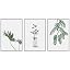 A01-2109-zgleaves-h02