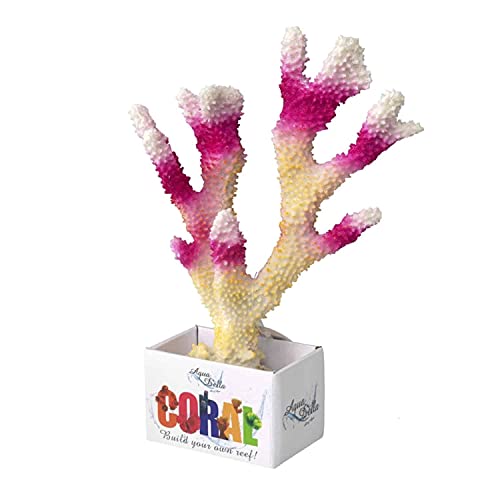 Aqua della della Birdnest Coral modulo, 26 x 18.5
