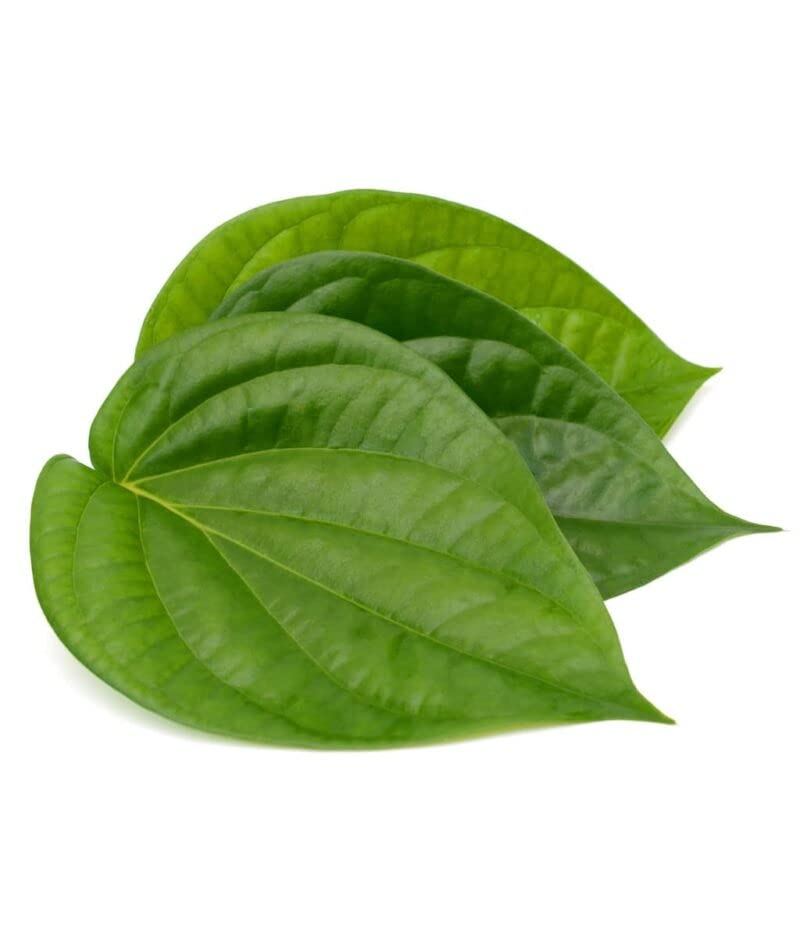 Image of SENO Pan Kattha|Pan Katha|Paan Kattha|Paan Katha|Acacia Catechu Powder For Paan|Pan Kattha Powder|Sukha Kattha,Dry Kattha,40G Pack