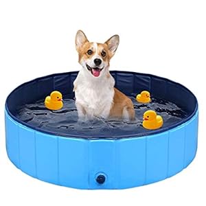 jaosn Hondenzwembad, duurzaam PVC huisdierbad, antislip, voor binnen en buiten, opvouwbare huisdierbadkuip voor kleine honden (20 cm x 80 cm)